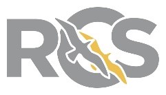 Rhyl City Strategy Logo